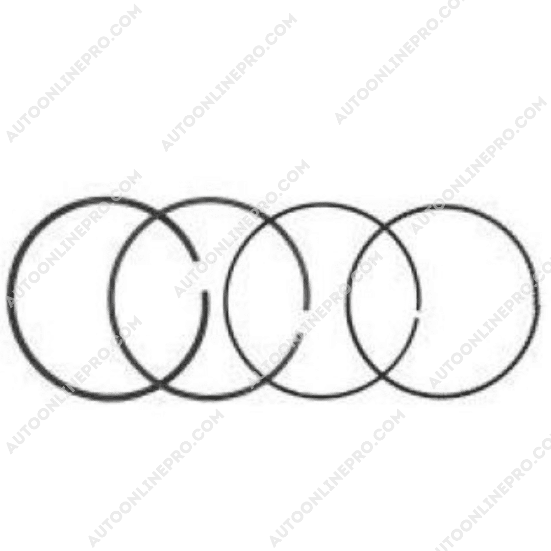 Set de Anillos de Motor STD Ecospor Euroboost 1.0 2015