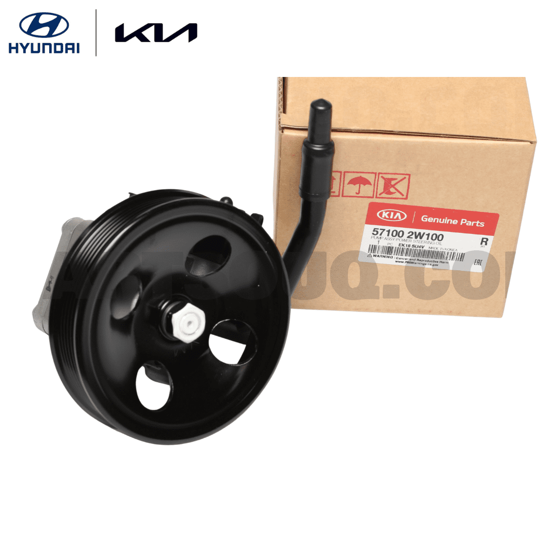 Bomba de Direccion Hyundai Santa Fe 2.4 2013-2018 571002W100 Genuino Original